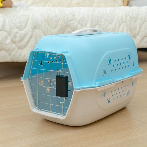 Wholesale Custom Airline Dog Houses Durable Dog Kennel Outdoor Travel Transport Pet Carrier Plastic Pet Air Box