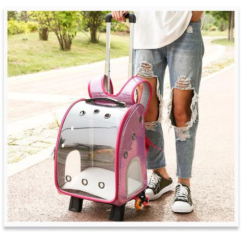 Wholesale Custom Fashion Foldable Pet Carrier Bag Portable Outdoor Travel Dog Carrier