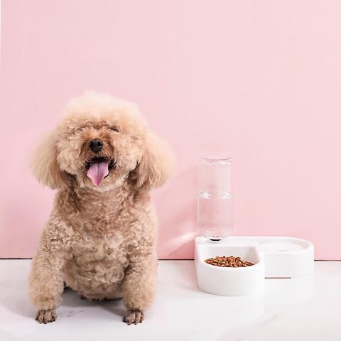 High Quality Water Dual Use Space Healthy Removable Pet Automatic Feeder Dog Cat Drinking Bowl