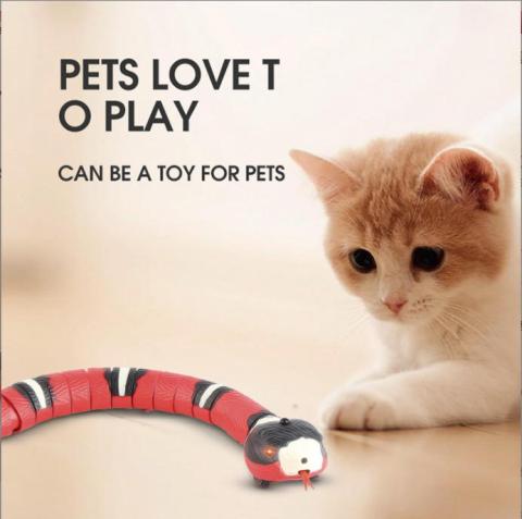 Hot Sale Electric Automatic Smart Sensing Snake Usb Rechargeable Teaser Play Fancy Pet Dog Cat Interactive Movement Toys 01