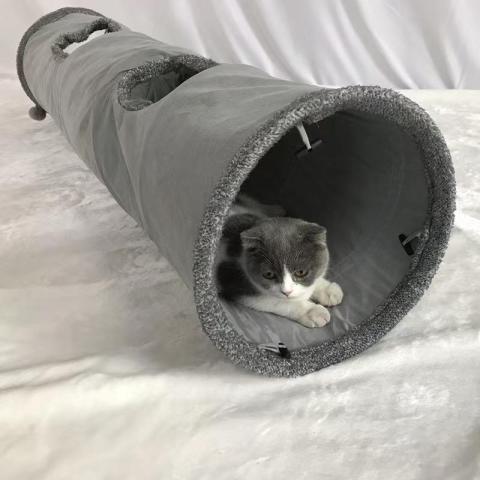 2023 Pet Collapsible Cat Tunnel Cat Toys Play Tunnel Durable Suede Hideaway