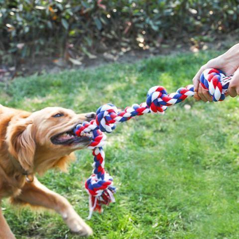 Durable Dog Chew Rope Toys For Aggressive Chewers Dental Toys Puppy Dog Rope Toy For Playing