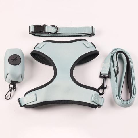 Hot Sale High Quality Adjustable Neoprene Customized Strong Cute Puppy Korean Dog Pet Harness For Dogs