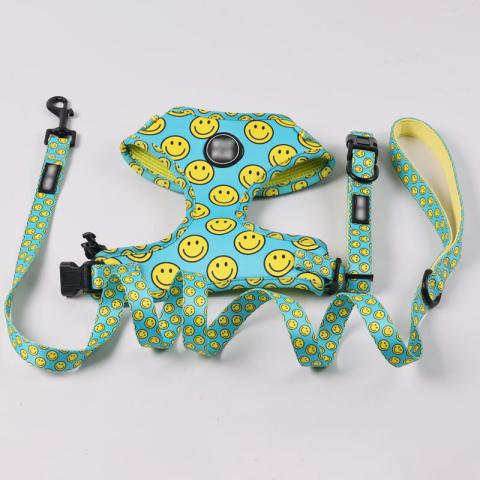  Pet Accessories Adjustable Comfortable Dog Harness Pattern Small Dog Harness Full Set