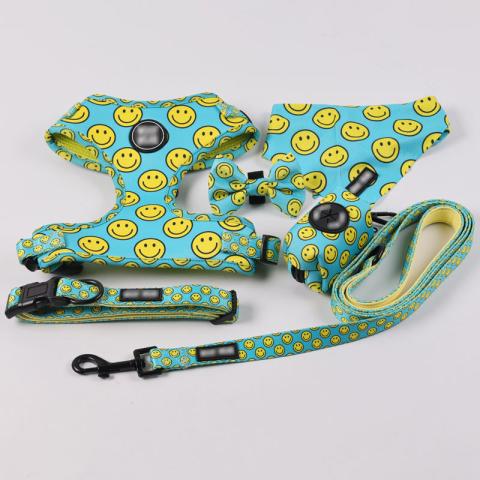  Personalised Luxury Green Dog Harness+leash+collar+bow Tie+poo Bag Holder Set With Logo