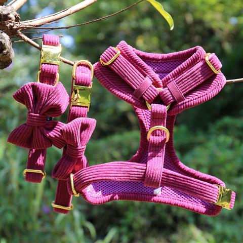 Custom Corduroy Material High Quality Small Breed Pink Collar Poop Bag Holder Bow Tie Dog Leash With Harness
