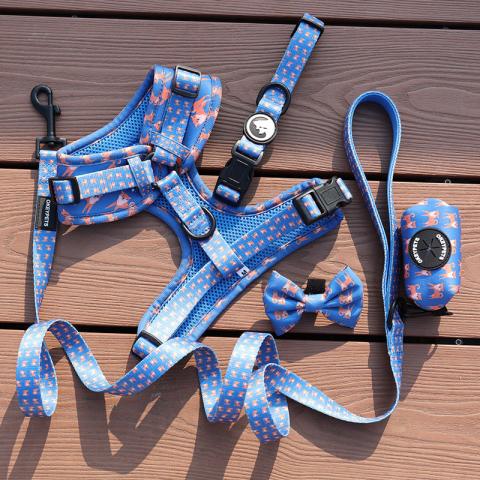 Pet Vest Personalized Sublimation Design Pattern Luxury Sports Air Mesh Padded Dog Harness Set