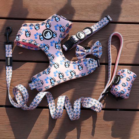 Adjustable Dog Accessories Sublimation Dog Harness Set Custom Personalized Pet Supplies 2023 Small Dog Harness Collar And Leash