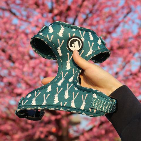 Cheap Custom Logo Printed Name Label Dog Collar And Leashes Harness Set