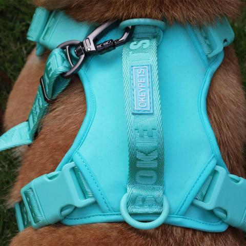 Luxury Custom Solid Color Nylon Multi Use Pet Vest No Pull Large Padded Dog Harness Collar Leash Sets