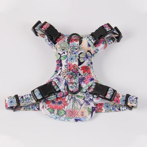 Customized Logo Webbing Strap Blank Pet Dog Vest Adjustable Soft Padded Mesh Nylon Design Large Dog Harness Leash Set