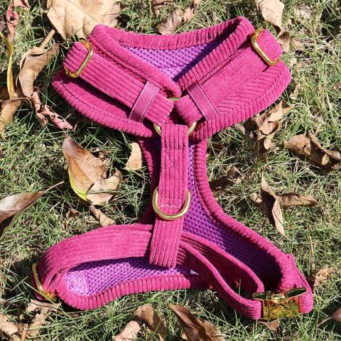 Pet Supplies Upgrade Personalized Adjustable Soft Pet Vest Service Custom 6pcs Printed No Pull Dog Collar And Harness Set