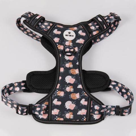 Personalized Private Label Pet Vest Set Backpack Nylon Oxford No Pull Dog Harness Vest With Custom Name