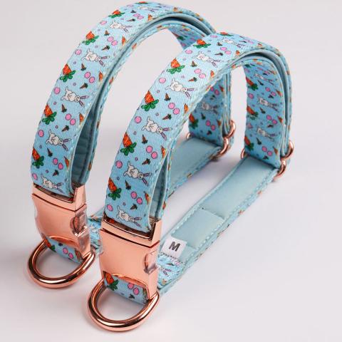 Custom Neoprene Padded Luxury Pet Neck Collar Heat Transfer Printing Soft Walking Dog Collar