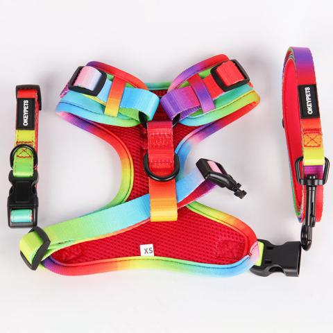Wholesale Dog Harness Set Pet Harness And Leash,Plain Color Foam Handle Polyester Pet Harness And Leash