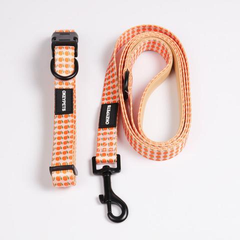 Custom Personalized Pattern Padded Printing Orange Pet Dog Collar And Lead Set Luxury