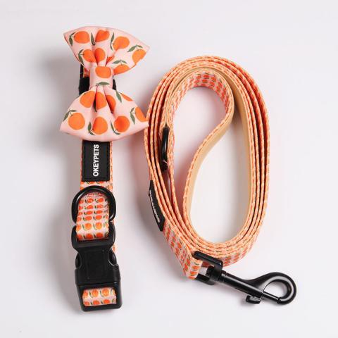  Custom Personalized Pattern Padded Printing Pet Dog Collar And Lead Set Luxury