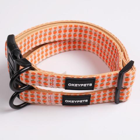  Custom Personalized Pattern Padded Printing Pet Dog Collar And Lead Set Luxury