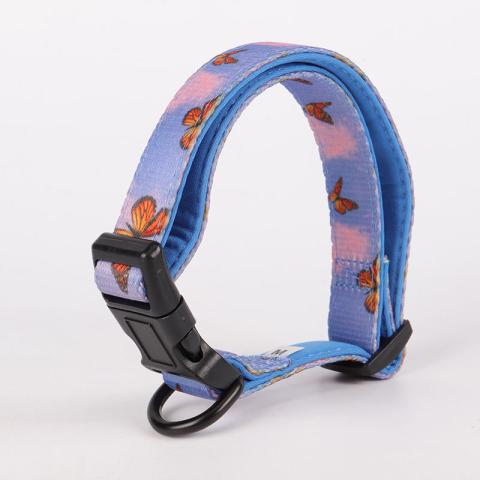 Colorful Adjustable Dog Collar,Solid Ombre Pet Collar,Customized Cat Collar In Bulk And Leash