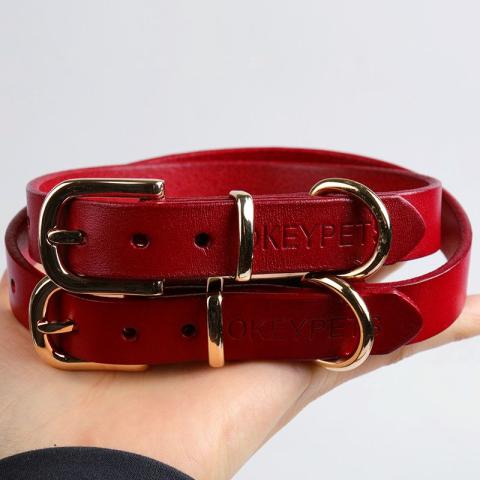 Embossed Logo Stylish Pet Chains Leather Design Colorful Pet Dog Leather Collar