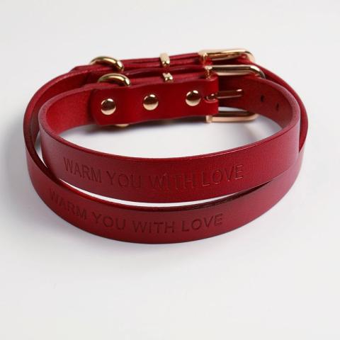 Embossed Logo Stylish Pet Chains Leather Design Colorful Pet Dog Leather Collar