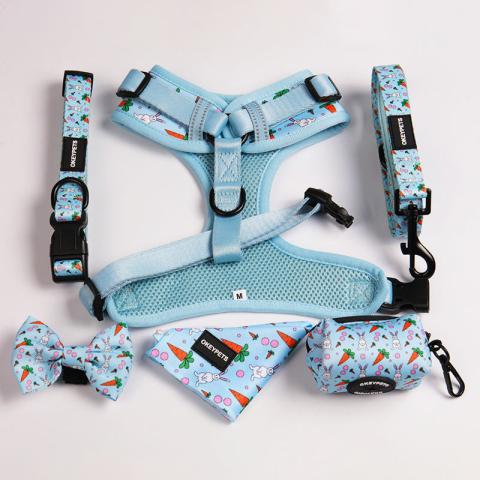 Fashion Neoprene Polyester Durable Adjustable No Pull Dog Harness And Leash Dog Harness Set For Dogs