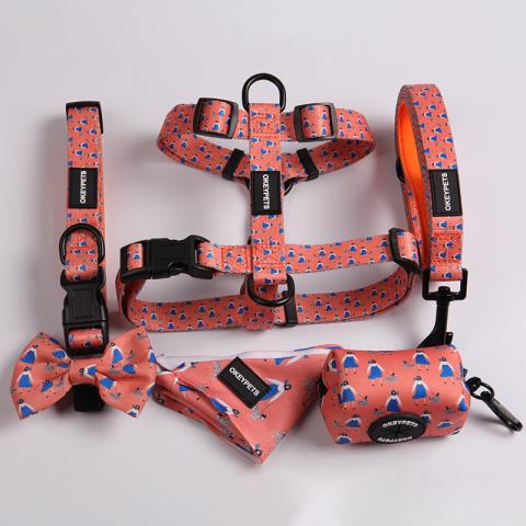 Custom Szie Multi-colors Safety Anti Pulling Sublimation Puppy Vest Dog Harness Leash Set