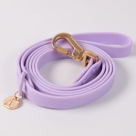  The Most Popular Products Pet Suppliers Luxury Custom Adjustable Puppies Dog Collar And Leash Set