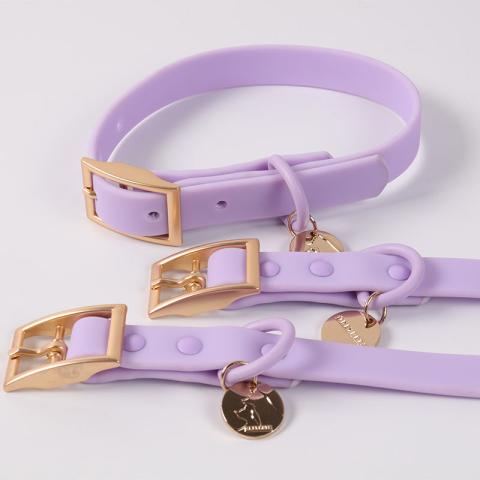  Eco Friendly High Quality Pvc Webbing Dog Collar Leash Set With Custom Logo Many Color