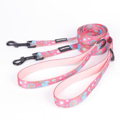  Pattern Customized Adjustable Lengths Safety Eco Friendly Leads Pet Leash Dog Collars Set