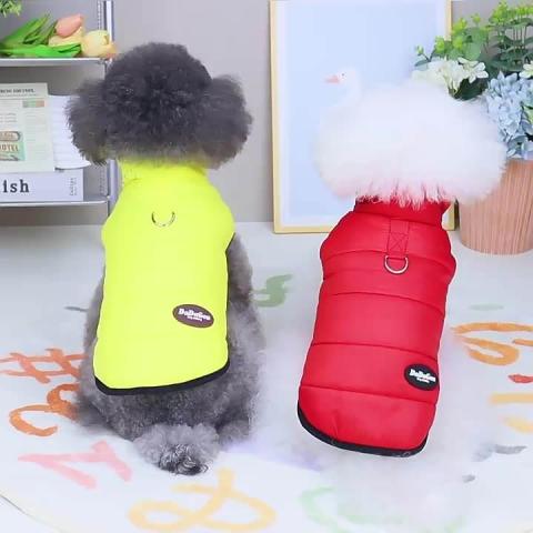 Five Colors Comfortable New Style Fashion Designer Dog Jackets Winter Pet Clothes