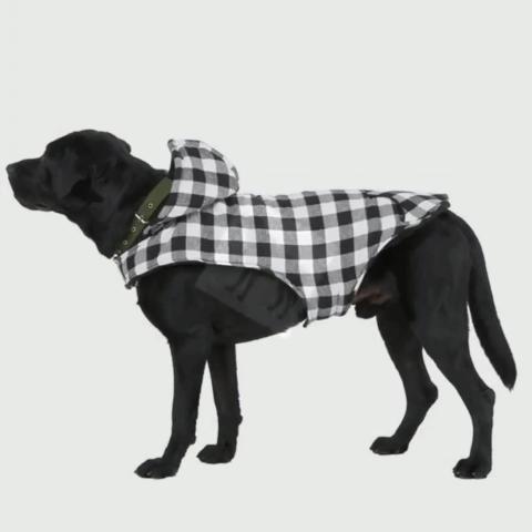 Cold Weather Coat Warm Sport Vest Personalized Dog Life Reflective Dog Jacket