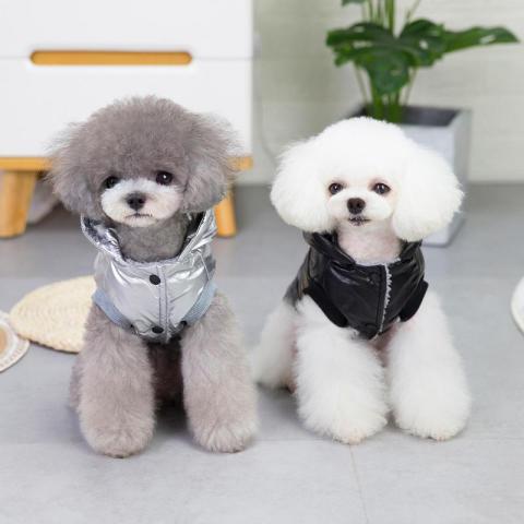 Pet Clothing Autumn Winter Jacket Dog Clothes Teddy Small Dog Pet Clothes Four-leg Cotton-padded Coat