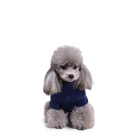 New Fashion China Supplier Comfortable Pet Clothes Dog