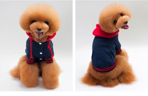 Comfortable Sport Wholesale Cotton Blank Dog Hoody Customized Dog Clothes Hoodie