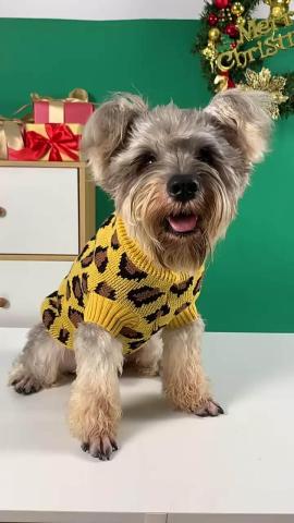 Cheap Dog Clothes For Small Dogs Import Dog Clothes China For Pet