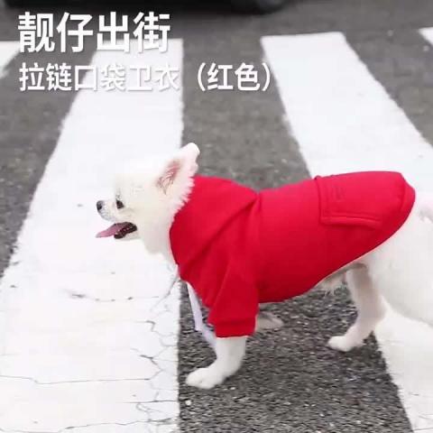 2022 New Winter Dog Pet Hoodies Clothes Custom Clip Four-legged Pet Dog Clothes Warm