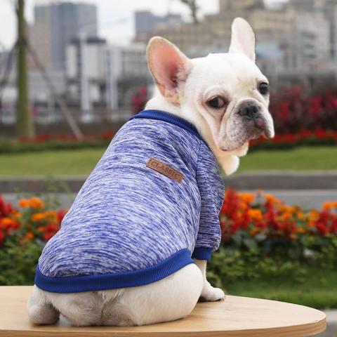 Custom Lovely Blank Dog Clothes For Small Dogs From Hoodie Factory Made In China
