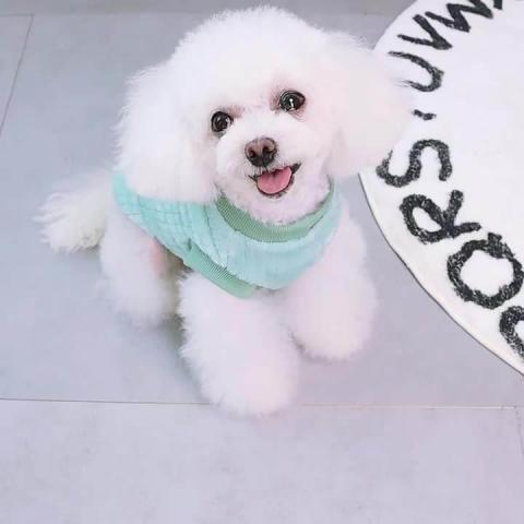 New Style Cute Custom Warm Soft Fleece High Quality Small Wholesale Dog Clothes