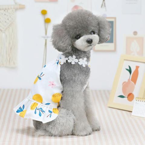 New Style Wholesale Cute Pet Cloth Designer Summer Dog Dress Clothes