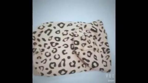 New Style Fashion Leopard Print Cloth Designer Dog Custom Pet Hoodie
