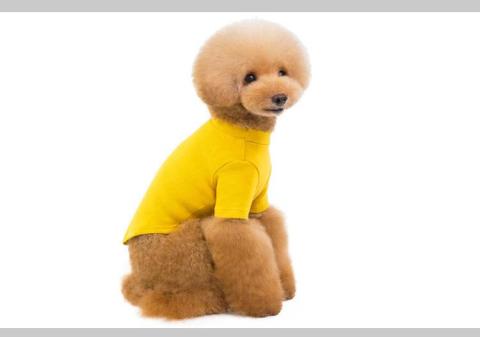 2022 Funny Designer Puppy Dog Apparel Hoodie Pet Clothes From China