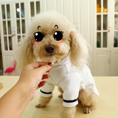 Funny Designer Pet Accessories Pup Crew Pet Dog Clothes