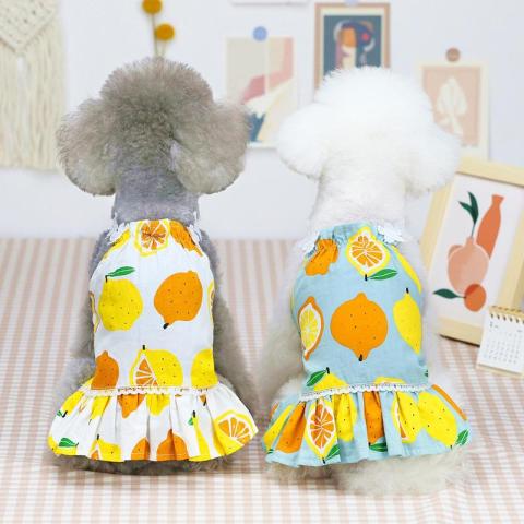 2021 Spring And Summer New Cat Dress Cute Small Dog Clothes