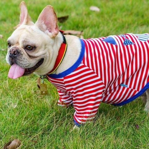 Wholesale T Shirts Cheap Fashion Pet Dog Clothes Pet T-shirt French Bulldog Summer Clothes