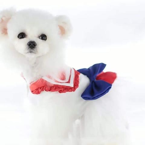 Japan Style Dog Dress Summer Pet Clothes For China Supplier Clothing