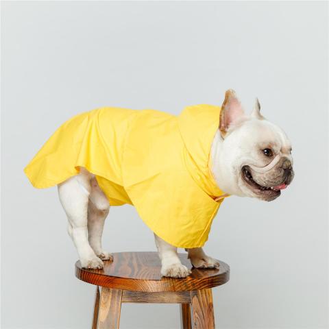 Wholesale Portable Hoodie Waterproof Dog Raincoat