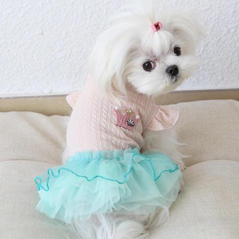 Wholesale Lovely Fancy Summer Princess Dog Dresses