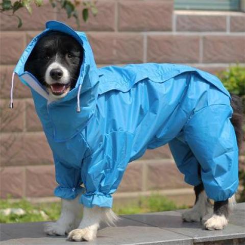 Multicolor Style All Inclusive Waterproof Rain Jumpsuit Large Dog Raincoat