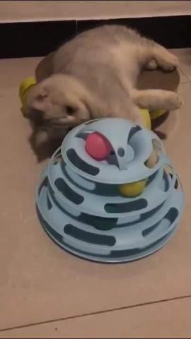 4 Layers Funny Turntable Crazy Ball Disk Interactive Cat Toys For Pet Products